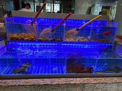 -厦门宝龙铂尔曼大酒店·海鲜自助餐厅