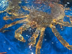 -盒马鲜生(红莲店)