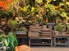 -自由生长植物工作室(深港花卉中心店)