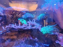 -宁海食府·涌宴(真和店)