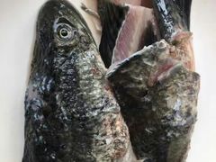 黑鱼两吃-活鱼馆(宜兴埠店)