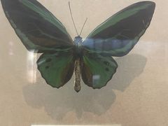 -陕西自然博物馆