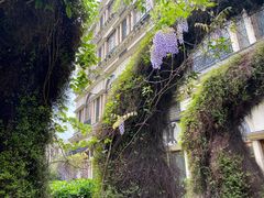 -伯衡55·吉品轩(乌鲁木齐南路店)