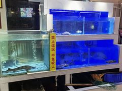 -王捌小院(红花坡店)