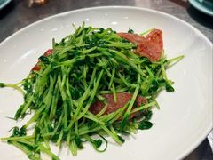 鸡油腊味炒豆苗-潮界(虹桥新天地店)