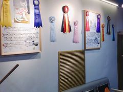 -猫十亿·布偶金渐层·曼基康矮脚猫舍(青年路店)
