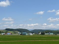 -富田农场
