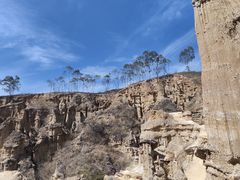 -元谋土林景区(物茂土林)
