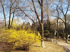 -东北大学(南湖校区)