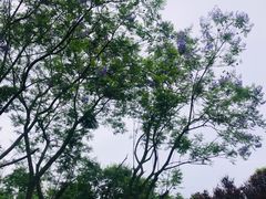 -白鹭湾湿地公园