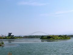 -芒洲湿地公园