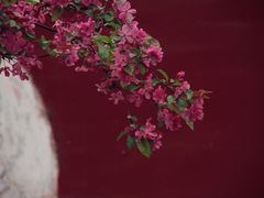 -北京艺术博物馆(万寿寺)