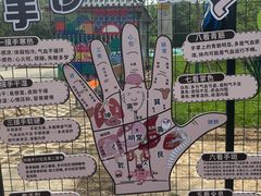 -北京凤凰岭