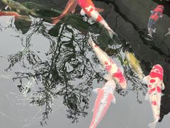 -西安市广仁寺
