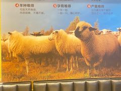 -白香源·滩羊小馆·手抓羊肉(西安路店)