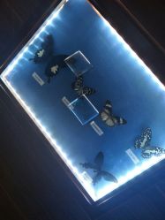 -酷嗒动物文化乐园(cutezoo西溪乐天城店)