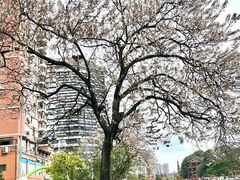 -红星桥(地铁站)