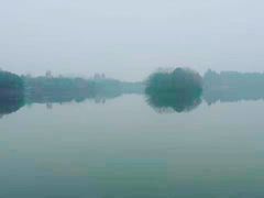 -三圣花乡旅游区