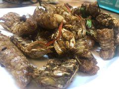 -东海章鱼馆(恒瑞街店)