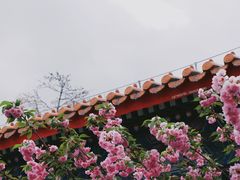 -珠海圆明新园