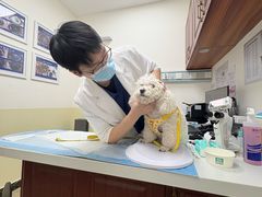 -美联众合动物医院·24h转诊中心