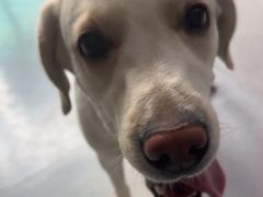 -心仪动物医院·牙专科·肿瘤·心脏科(西客站院)