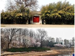 -北坞公园