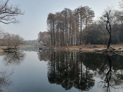 -上海共青森林公园