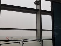 -麦当劳(禄口机场T2航站楼)