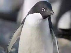 -清和传家饺子(龙泉道物美店)