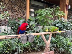 -南宫五洲植物乐园