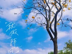 -梁园