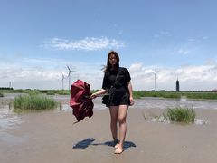 -奉贤海滩