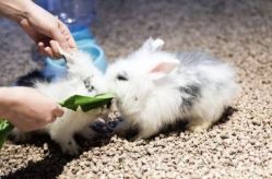 -酷嗒动物文化乐园(cutezoo西溪乐天城店)