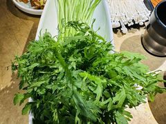 -手选潮汕鲜活牛肉火锅(二七广场店)