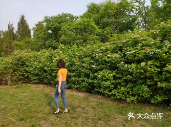 北京不只有鸟巢|奥森公园打卡攻略