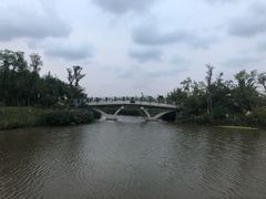 -上海长兴岛郊野公园