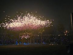 -国际非物质文化遗产博览园