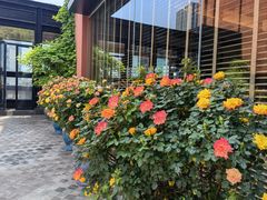 -永隆圣马可国际家居广场(江东中路店)