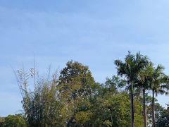 -中国科学院西双版纳热带植物园