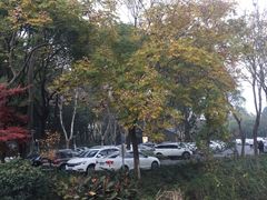 -昆山城市生态森林公园