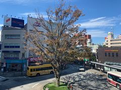 -三鹰之森吉卜力美术馆