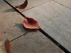 -香积寺