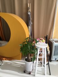 -首尔宝宝SEOUL  BABY STUDIO(通州店)