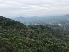 -呀诺达热带雨林
