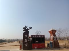 -日照海滨国家森林公园