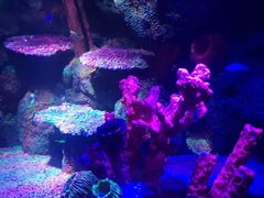 -沈阳海洋探索中心