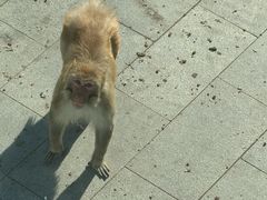-无锡动物园·太湖欢乐园