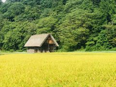 -白川乡与五箇山的合掌构造村落