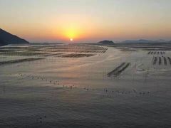 -北岐滩涂